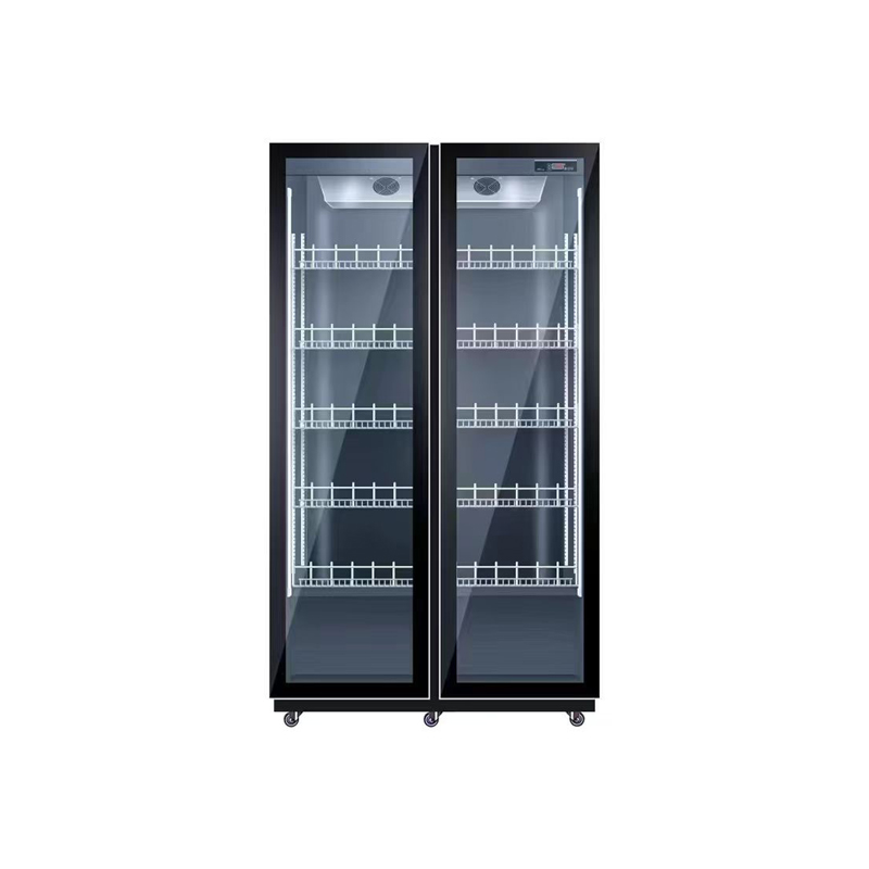 Double Door Air Cooling Refrig - Wine Beer Dual Zone avaliação e preço